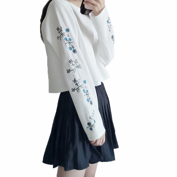 Σύντομο πουλόβερ κυρίες με στυλ με κεντήματα στα μανίκια