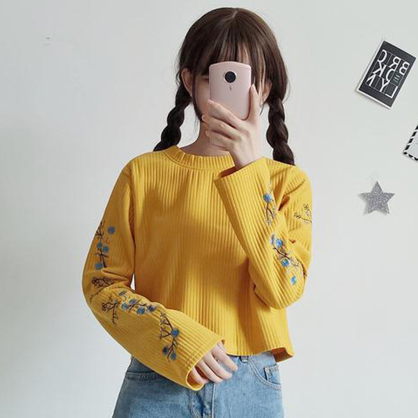 Σύντομο πουλόβερ κυρίες με στυλ με κεντήματα στα μανίκια