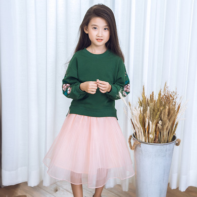 Καθημερινό πουλόβερ για το φθινόπωρο-χειμώνα για τα κορίτσια με κολάρο σε σχήμα O και απαλό και όμορφο κέντημα στα μανίκια σε δύ