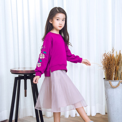 Καθημερινό πουλόβερ για το φθινόπωρο-χειμώνα για τα κορίτσια με κολάρο σε σχήμα O και απαλό και όμορφο κέντημα στα μανίκια σε δύ