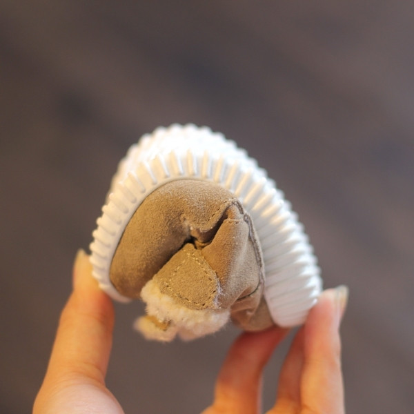 Προπονητικά πάνινα παπούτσια για παιδιά - unisex, με μπαλώματα, σε δύο χρώματα