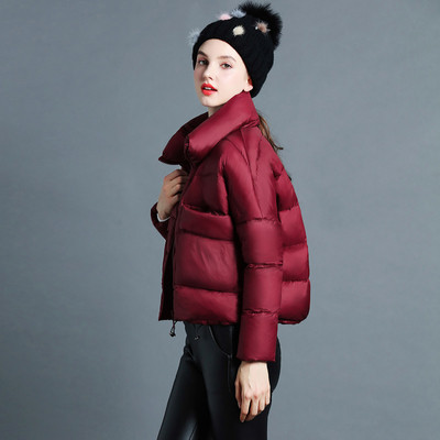 Σύντομο χειμωνιάτικο γυναικέιο μπουφάν σε απλό σχέδιο και σε πέντε χρώματα