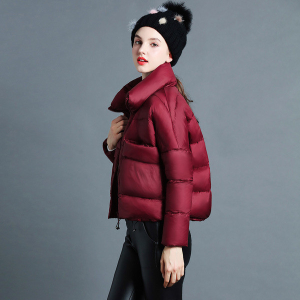 Σύντομο χειμωνιάτικο γυναικέιο μπουφάν σε απλό σχέδιο και σε πέντε χρώματα