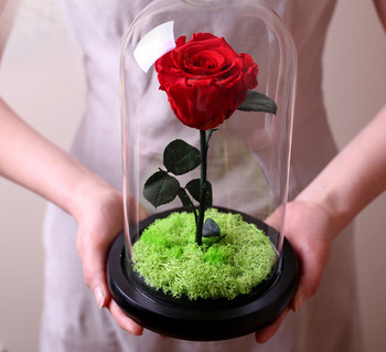 Μαγικά όμορφα τριαντάφυλλα κάτω από ένα γυάλινο καπάκι - Ένα  δώρο για μια αγαπιμένη γυναίκα