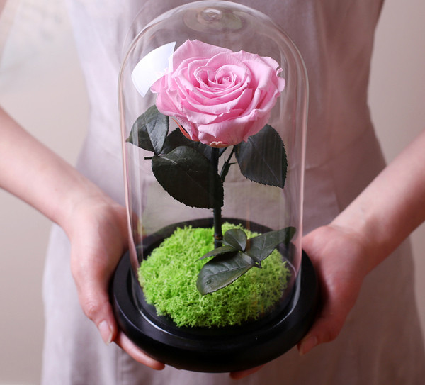 Страхотен подарък за една дама - магични красиви рози под стъклен похлупак