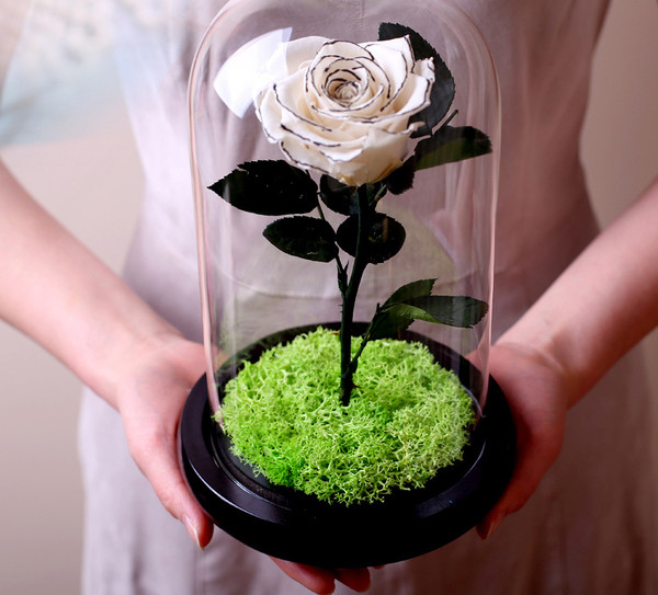 Страхотен подарък за една дама - магични красиви рози под стъклен похлупак
