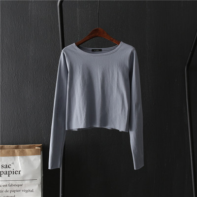 Άνοιξη-φθινόπωρο καθημερινή σύντομη γυναικεία μπλούζα
