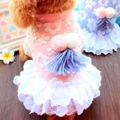 Χαριτωμένο ρούχα για μικρά και μεγάλα σκυλιά