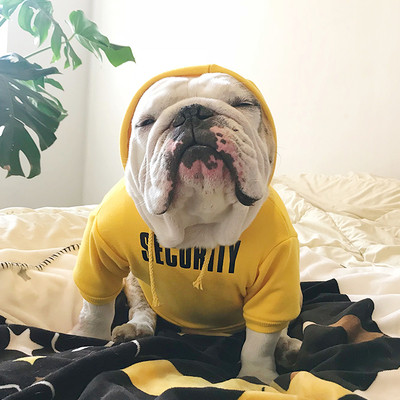 Sweatshirt Dog για ενεργά σκυλιά σε διαφορετικά μεγέθη
