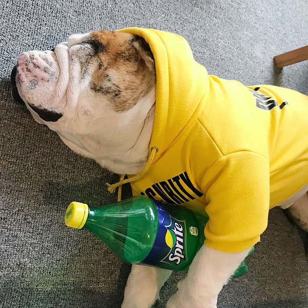 Hanorac pentru câini activi în diferite mărimi