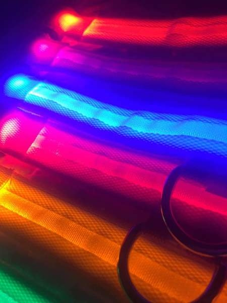 Αναβοσβήνει κολάρο LED για κατοικίδια ζώα