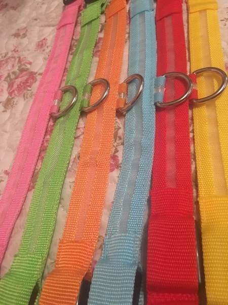 Αναβοσβήνει κολάρο LED για κατοικίδια ζώα