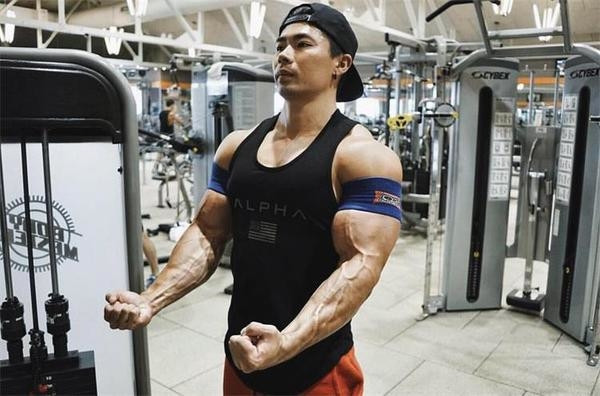 Férfi sport-alkalmi felső, különböző színekben, nyomattal