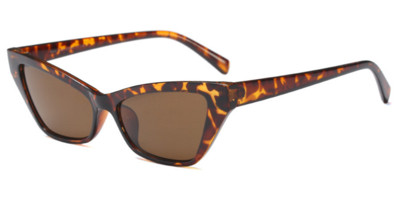 Μοντέρνα γυναικεία  γυαλιά σε διαφορετικά χρώματα