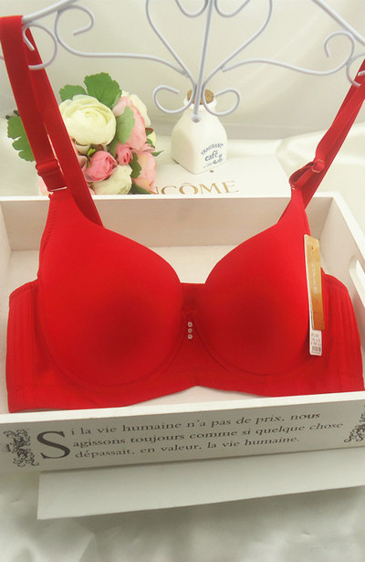 Καθημερινό βαμβακερό γυναικείο σουτιέν σε διάφορα χρώματα