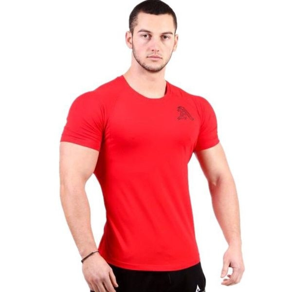 Tricou sport barbatesc in mai multe culori cu broderie