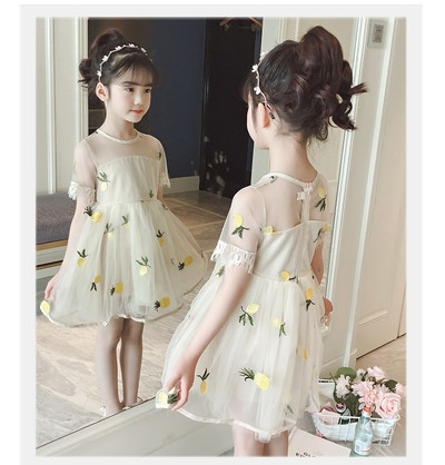 Rochie moderna pentru copii cu aplicatie si plasa in doua culori