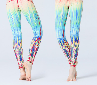 Jambiere de dama colorate in mai multe modele