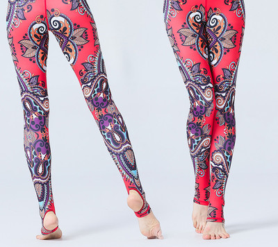 Jambiere de dama colorate in mai multe modele