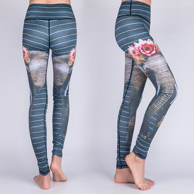 Jambiere de dama colorate in mai multe modele