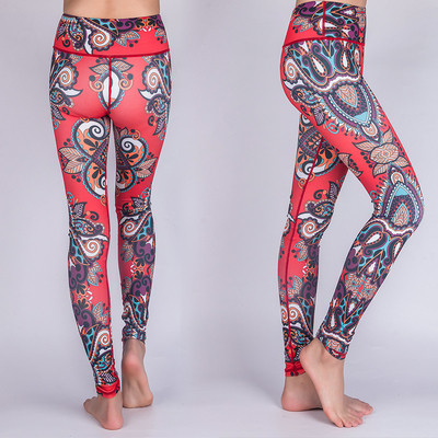 Jambiere de dama colorate in mai multe modele