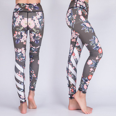 Jambiere de dama colorate in mai multe modele