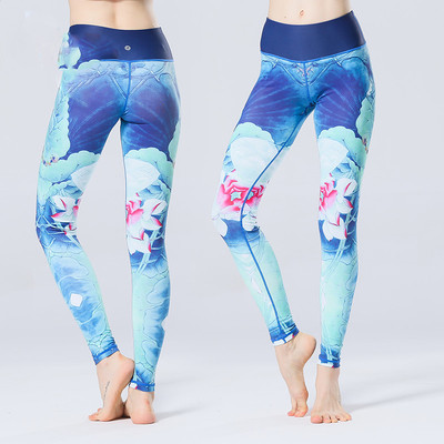 Jambiere de dama colorate in mai multe modele