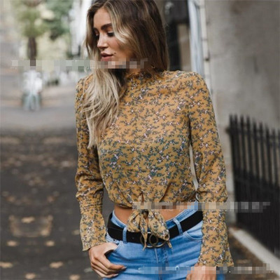 Κομψό λεπτό πουκάμισο με μακριά μανίκια σε διαφορετικά χρώματα