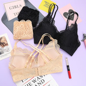 Γυναικεία δαντελένια σουτιέν με επένδυση σε διάφορα χρώματα