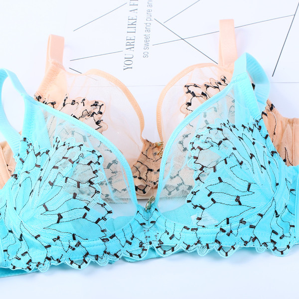 Sutien de dama translucid in doua culori cu broderie