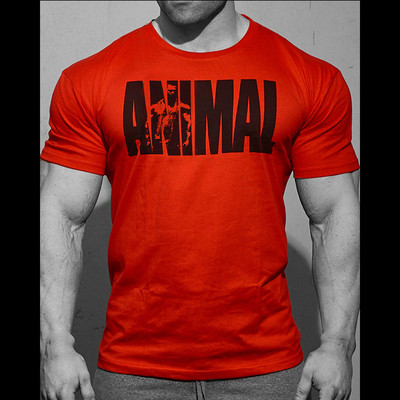 Tricou sport din bumbac cu inscriptii in mai multe culori