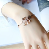 Βραχιόλι της τρέχουσας κυρίας