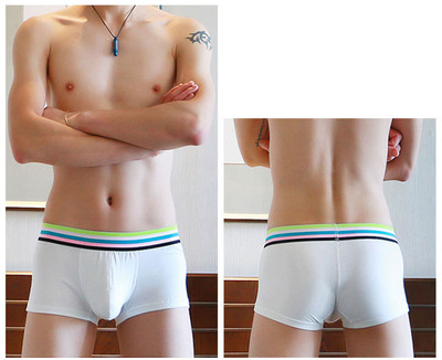 Ανδρικά βαμβακερά εσώρουχα σε πέντε χρώματα