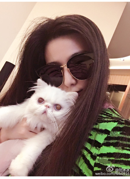 Κυρίες γυαλιά ηλίου στρογγυλεμένο μοτίβο σε τρία χρώματα