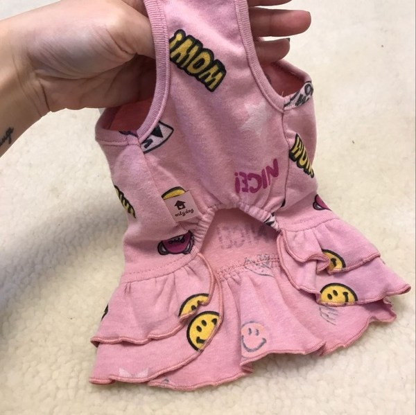 Μοντέρνο σκύλο φόρεμα με πολύχρωμη εφαρμογή σε διάφορα χρώματα