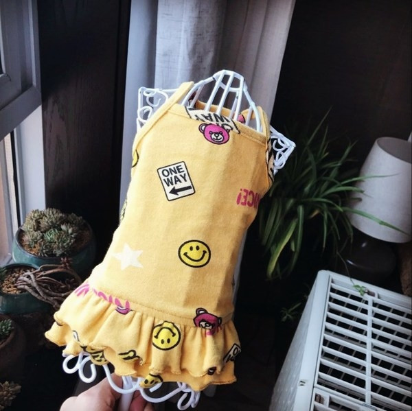 Μοντέρνο σκύλο φόρεμα με πολύχρωμη εφαρμογή σε διάφορα χρώματα