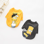 Ενδιαφέρουσες ενδυμασίες για ένα σκύλο με έγχρωμη εφαρμογή σε δύο χρώματα