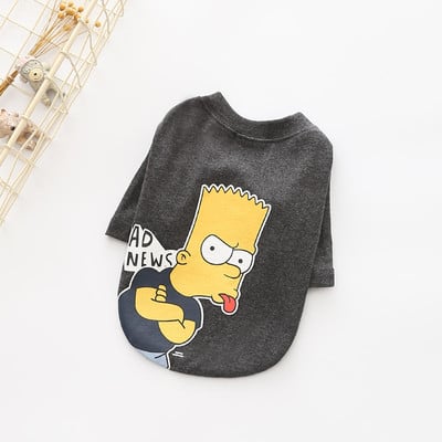 Ενδιαφέρουσες ενδυμασίες για ένα σκύλο με έγχρωμη εφαρμογή σε δύο χρώματα