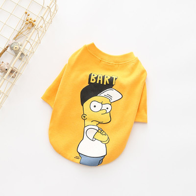 Ενδιαφέρουσες ενδυμασίες για ένα σκύλο με έγχρωμη εφαρμογή σε δύο χρώματα