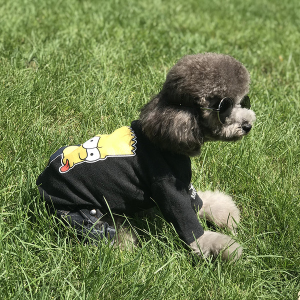 Ενδιαφέρουσες ενδυμασίες για ένα σκύλο με έγχρωμη εφαρμογή σε δύο χρώματα