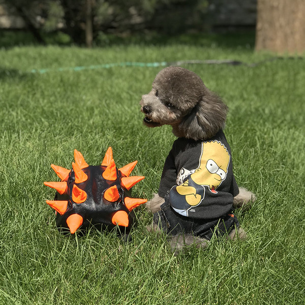 Ενδιαφέρουσες ενδυμασίες για ένα σκύλο με έγχρωμη εφαρμογή σε δύο χρώματα