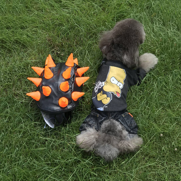 Ενδιαφέρουσες ενδυμασίες για ένα σκύλο με έγχρωμη εφαρμογή σε δύο χρώματα