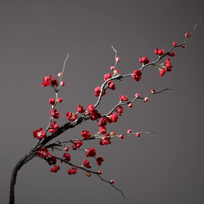 Διακοσμητικά λουλούδια σε διάφορα χρώματα