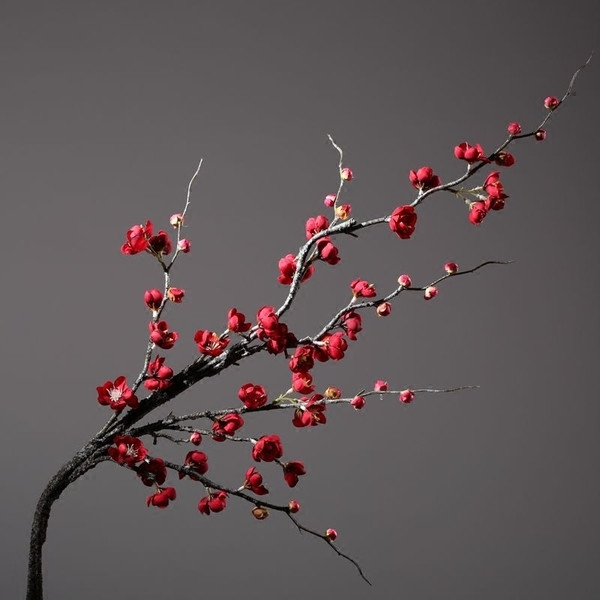 Διακοσμητικά λουλούδια σε διάφορα χρώματα