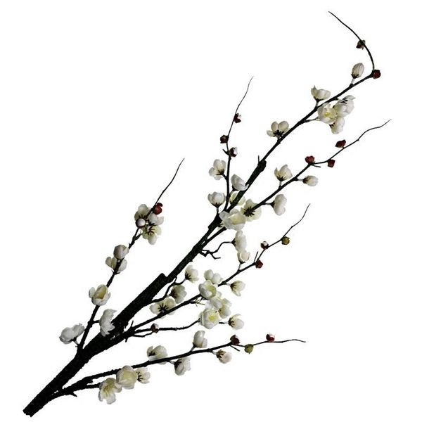 Διακοσμητικά λουλούδια σε διάφορα χρώματα