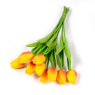 Διακοσμητικές τουλίπες σε διάφορα χρώματα