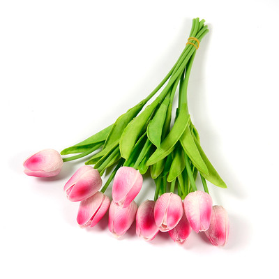 Διακοσμητικές τουλίπες σε διάφορα χρώματα