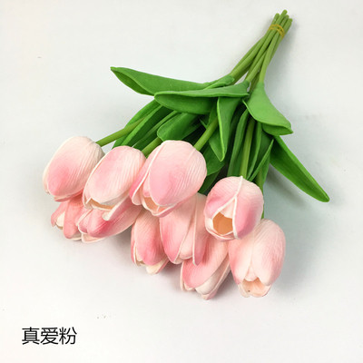 Διακοσμητικές τουλίπες σε διάφορα χρώματα