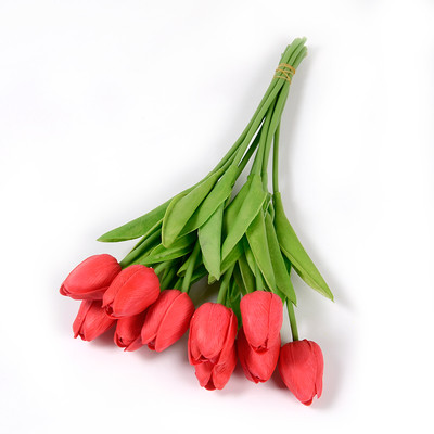 Διακοσμητικές τουλίπες σε διάφορα χρώματα