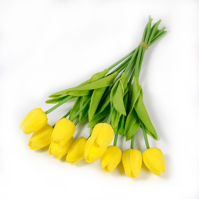 Διακοσμητικές τουλίπες σε διάφορα χρώματα